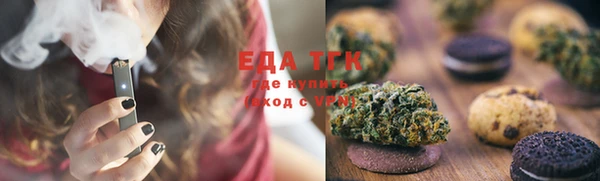 стаф Алзамай