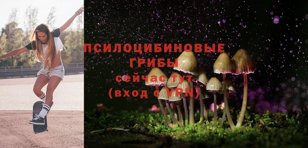 синтетический гашиш Алексеевка