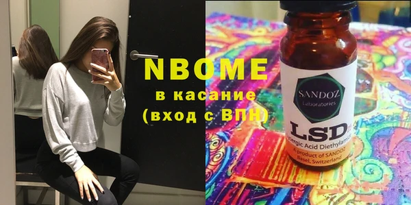 стаф Алзамай