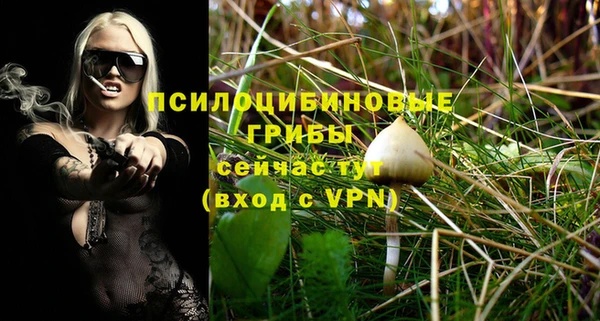 синтетический гашиш Алексеевка