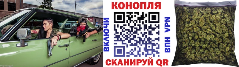 Купить где  Менделеевск  Конопля Amnesia 